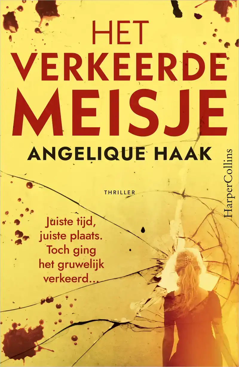 HET VERKEERDE MEISJE