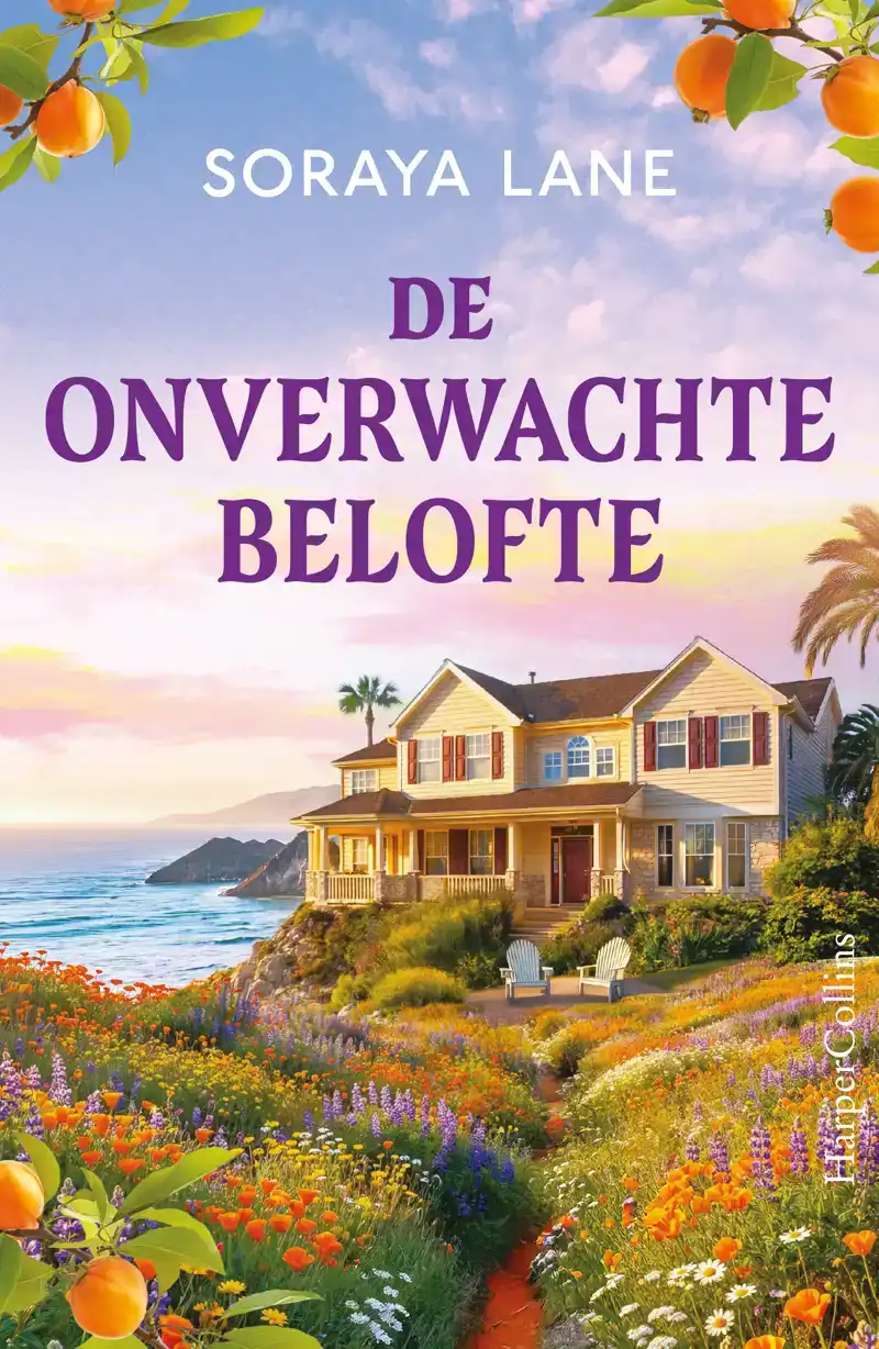 DE ONVERWACHTE BELOFTE