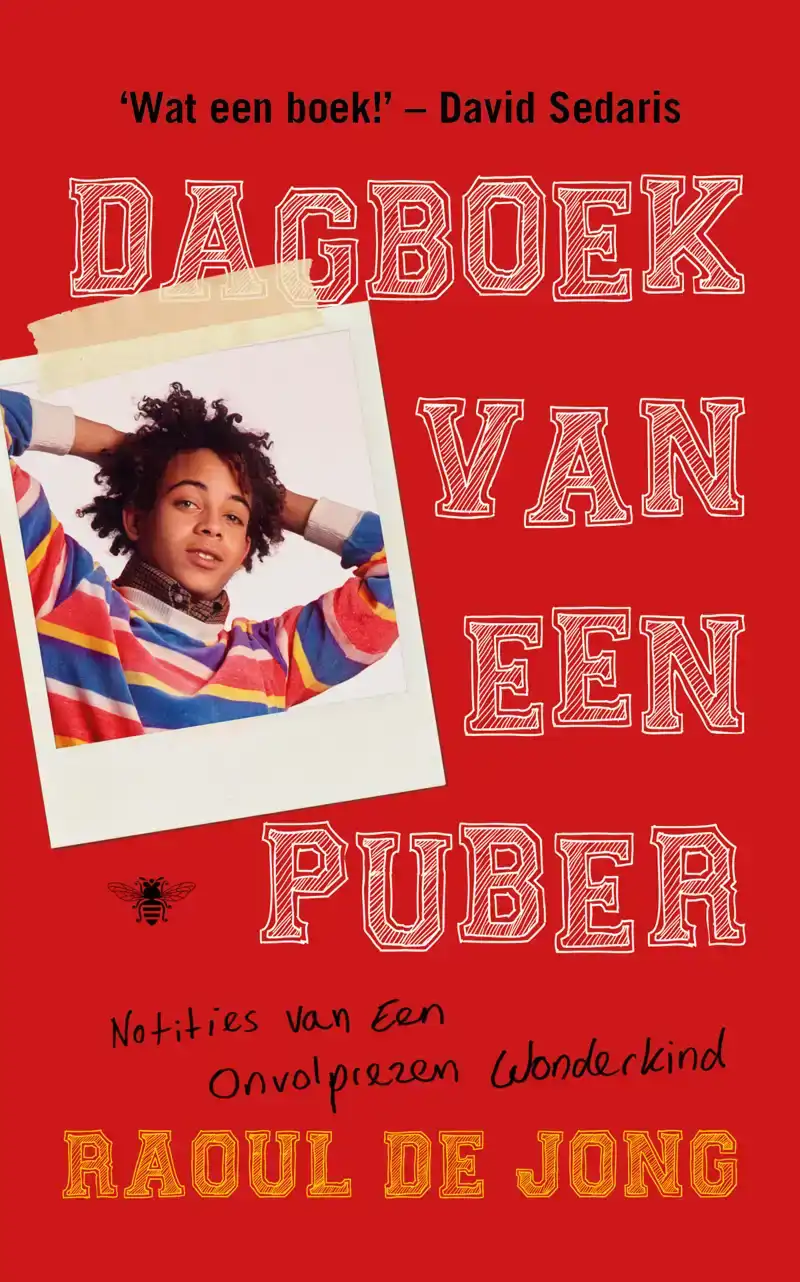 DAGBOEK VAN EEN PUBER