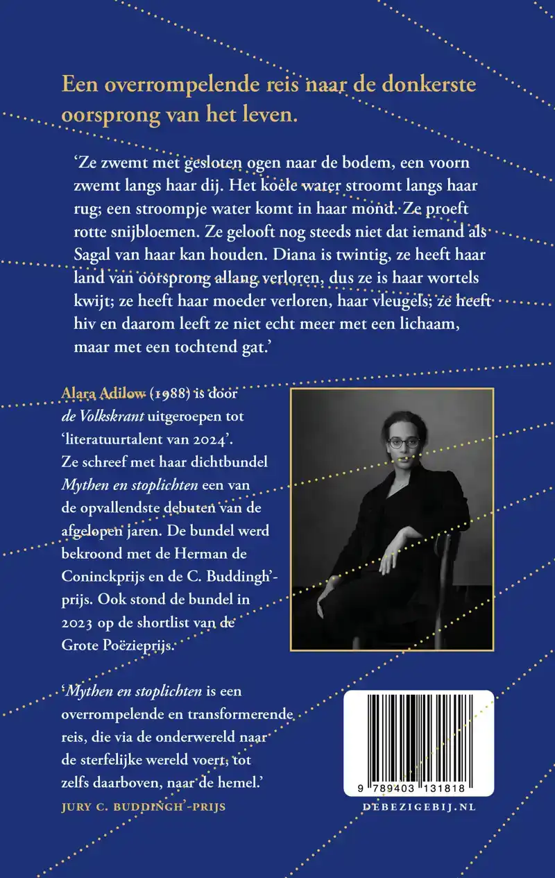 KIJK ES NAAR AL DAT LICHT