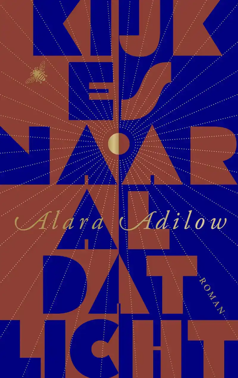 KIJK ES NAAR AL DAT LICHT