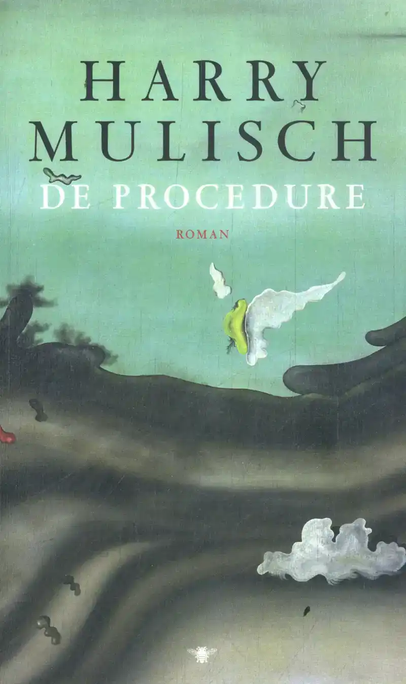 DE PROCEDURE