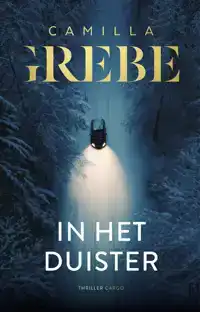 IN HET DUISTER
