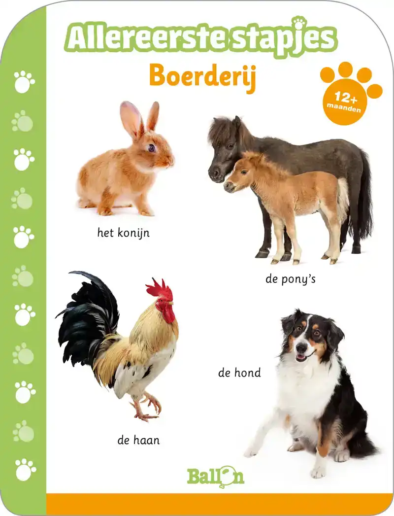 BOERDERIJ