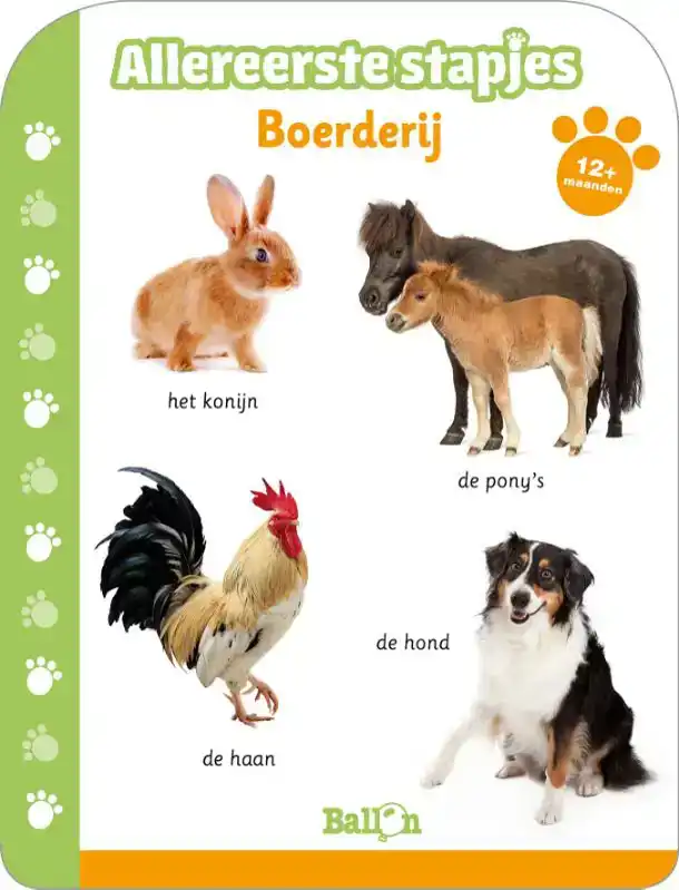 BOERDERIJ