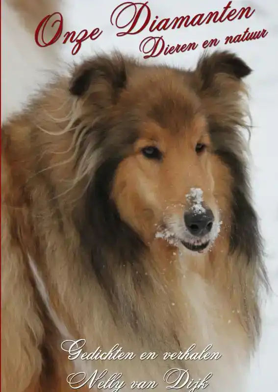 ONZE DIAMANTEN