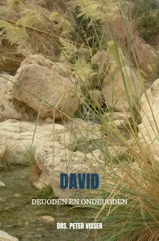 DAVID