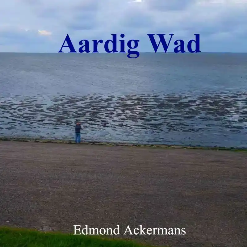 AARDIG WAD