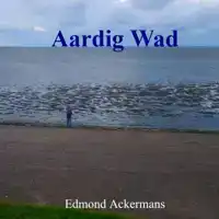 AARDIG WAD