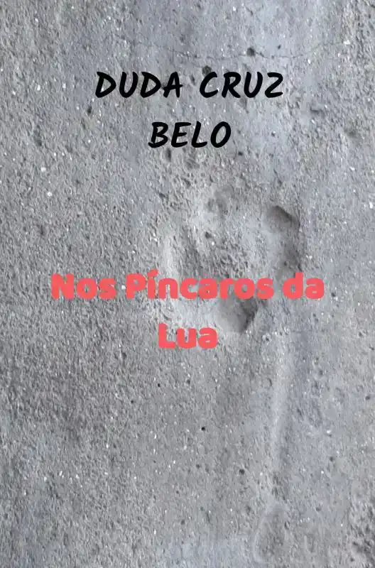 NOS PINCAROS DA LUA