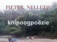 KNIPOOGPOEZIE