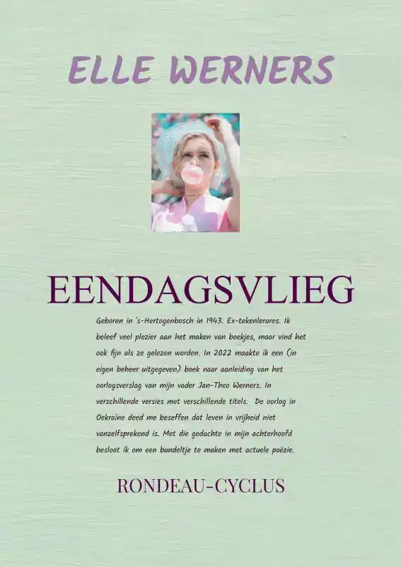 EENDAGSVLIEG II