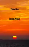 TRANSITION