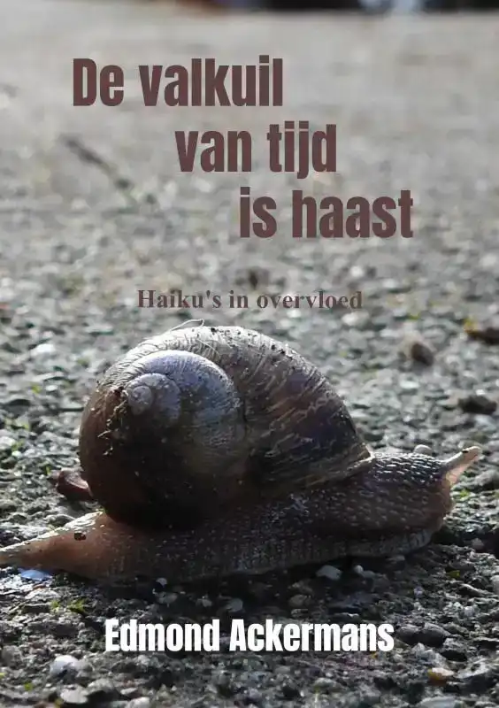 DE VALKUIL VAN TIJD IS HAAST