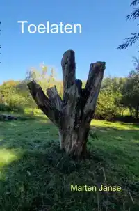 TOELATEN