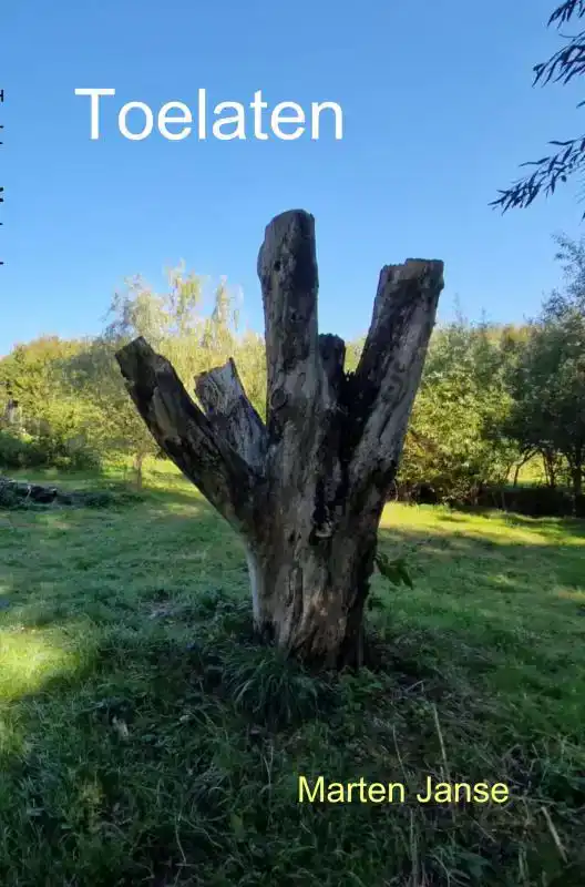 TOELATEN