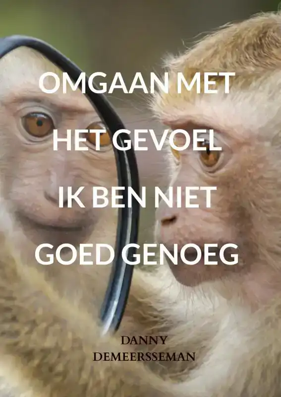 OMGAAN MET HET GEVOEL IK BEN NIET GOED GENOEG