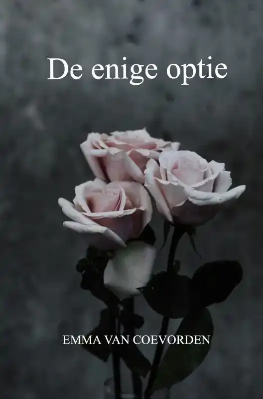DE ENIGE OPTIE