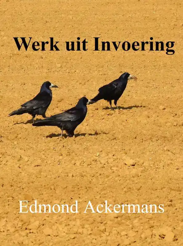 WERK UIT INVOERING
