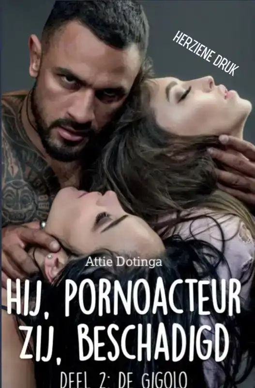 HIJ PORNOACTEUR. ZIJ BESCHADIGD.