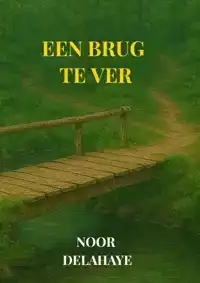 EEN BRUG TE VER