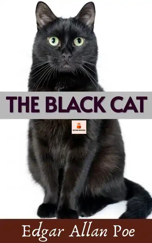 THE BLACK CAT