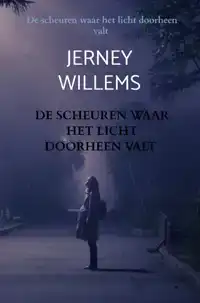 DE SCHEUREN WAAR HET LICHT DOORHEEN VALT