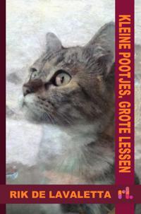 KLEINE POOTJES, GROTE LESSEN