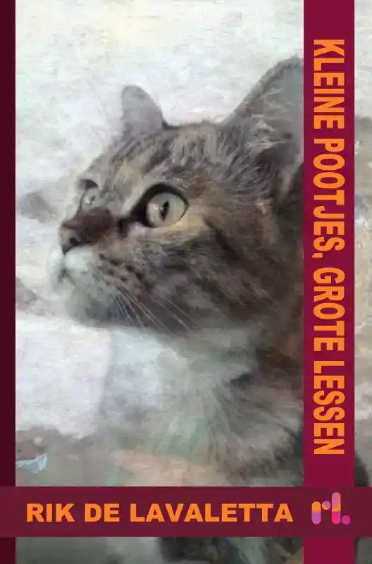 KLEINE POOTJES, GROTE LESSEN