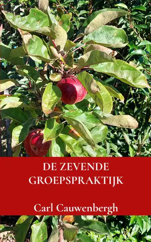 DE ZEVENDE GROEPSPRAKTIJK