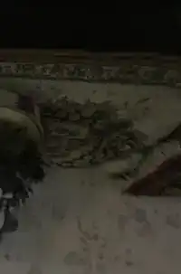 HET MEISJE DAT KERST VIERD