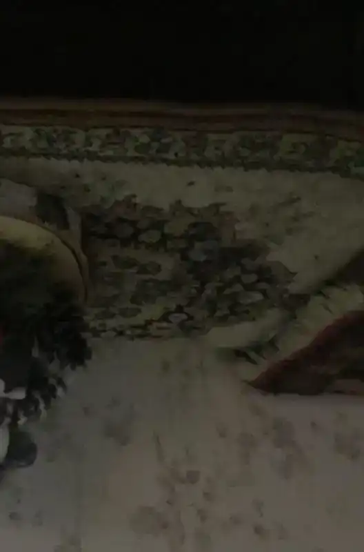 HET MEISJE DAT KERST VIERD