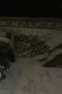 HET MEISJE DAT KERST VIERD