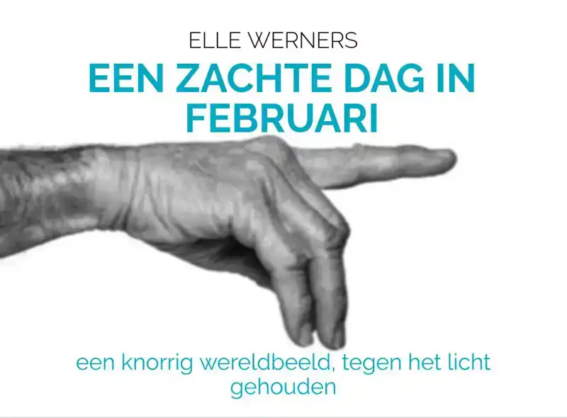 EEN ZACHTE DAG IN FEBRUARI