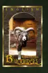 BUCKRIDERS