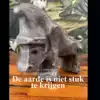DE AARDE IS NIET STUK TE KRIJGEN