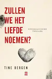 ZULLEN WE HET LIEFDE NOEMEN?