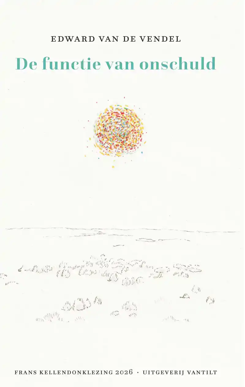 DE FUNCTIE VAN ONSCHULD