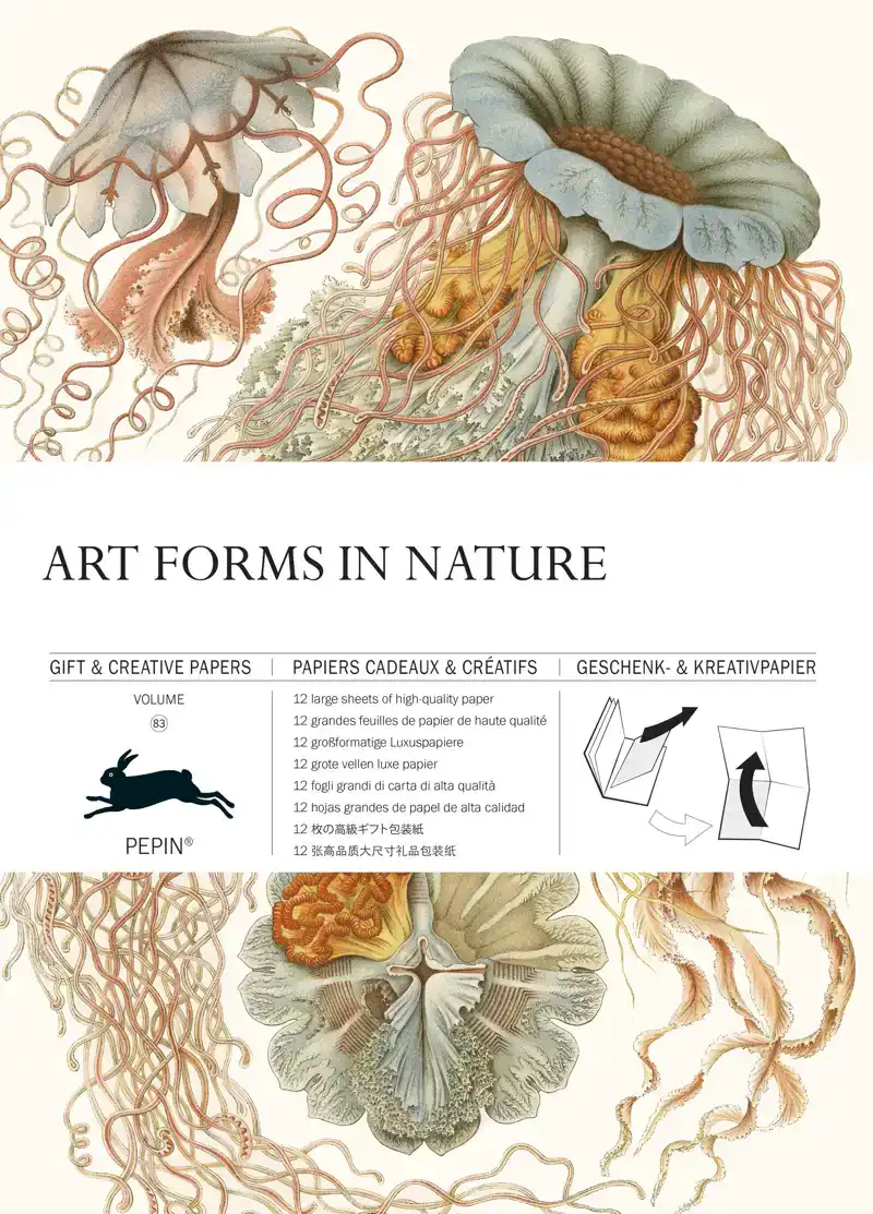 ART FORMS IN NATURE