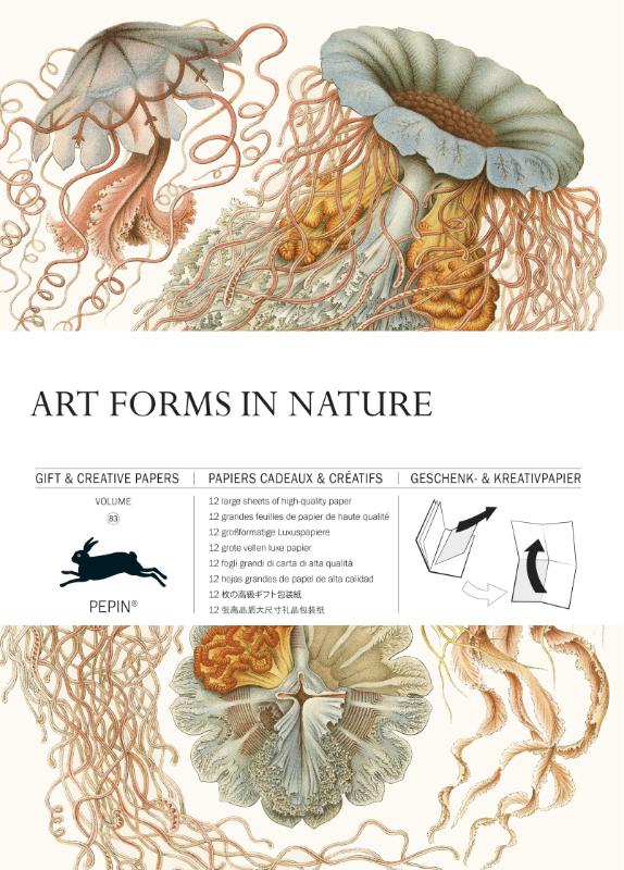 ART FORMS IN NATURE