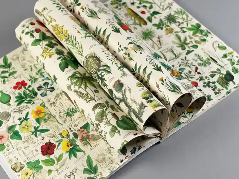 FLORA