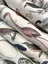 FAUNA