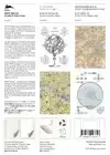 HISTORICAL MAPS