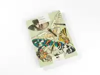 BUTTERFLIES