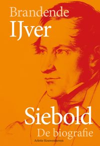 BRANDENDE IJVER