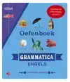 VAN DALE OEFENBOEK GRAMMATICA ENGELS