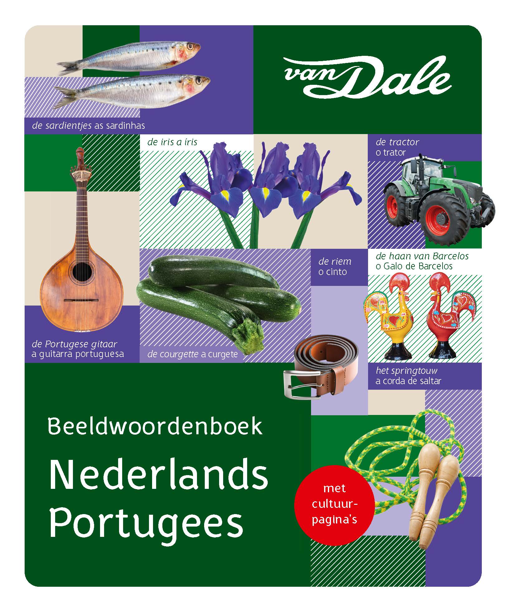 VAN DALE BEELDWOORDENBOEK NEDERLANDS/PORTUGEES