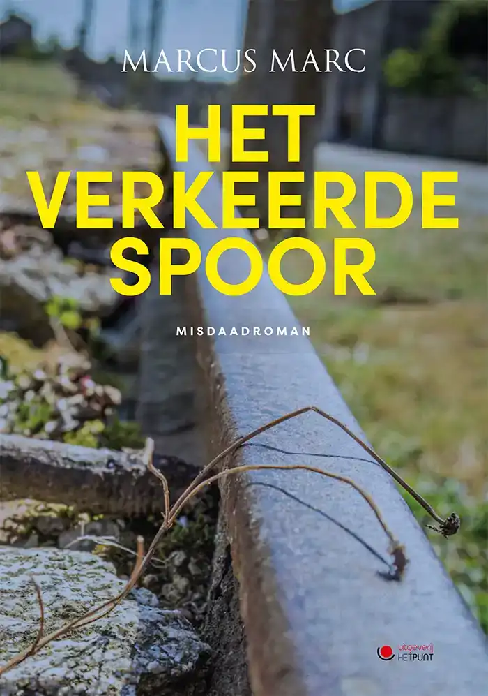 HET VERKEERDE SPOOR