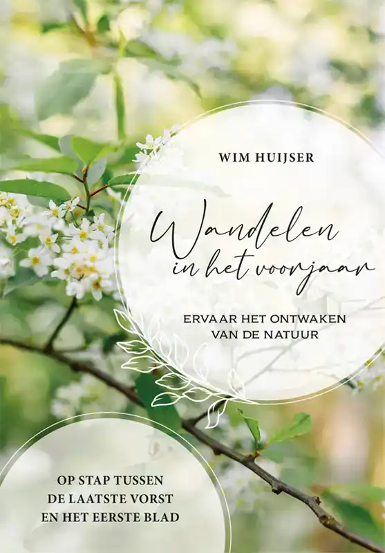 WANDELEN IN HET VOORJAAR