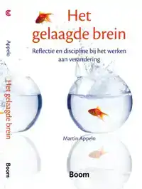 HET GELAAGDE BREIN